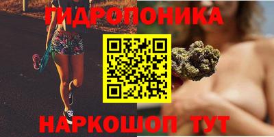 прущие грибы Бузулук